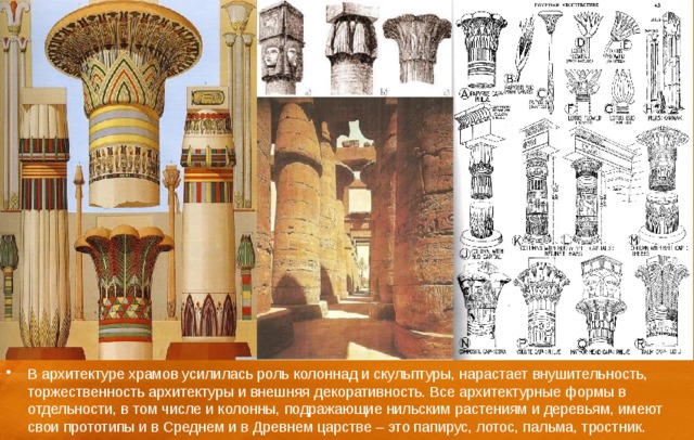 В архитектуре храмов усилилась роль колоннад и скульптуры, нарастает внушительность, торжественность архитектуры и внешняя декоративность. Все архитектурные формы в отдельности, в том числе и колонны, подражающие нильским растениям и деревьям, имеют свои прототипы и в Среднем и в Древнем царстве – это папирус, лотос, пальма, тростник. 