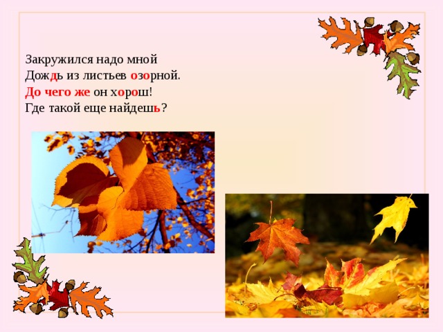   Закружился надо мной   Дож д ь из листьев о з о рной.   До чего же он х о р о ш!   Где такой еще найдеш ь ?        Л.Разводова    