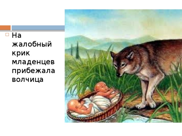 На жалобный крик младенцев прибежала волчица 