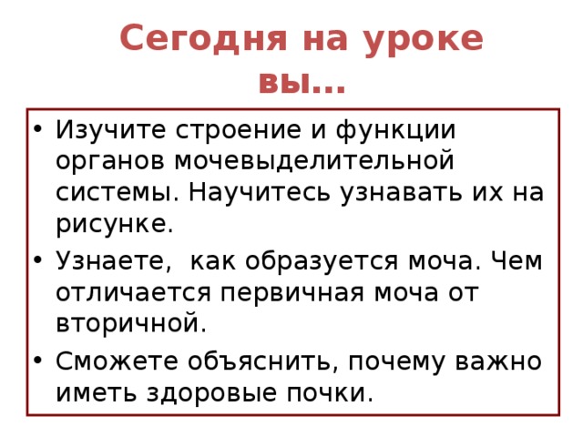 Сегодня на уроке вы… Изучите строение и функции органов мочевыделительной системы. Научитесь узнавать их на рисунке. Узнаете, как образуется моча. Чем отличается первичная моча от вторичной. Сможете объяснить, почему важно иметь здоровые почки. Сегодня на уроке мы Изучим строение и функции органов мочевыделительной системы. Научимся узнавать их на рисунке. Узнаем, как образуется моча. Чем отличается первичная моча от вторичной. Сможем объяснить, почему важно иметь здоровые почки.