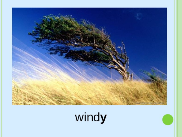 wind y 