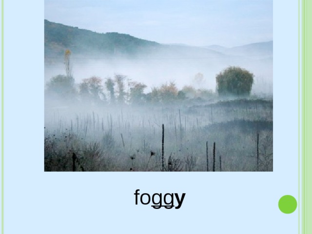fo gg y 