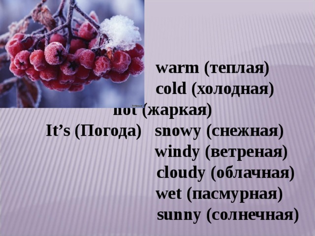  warm (теплая)  cold (холодная)  hot (жаркая) It’s (Погода) snowy (снежная)  windy (ветреная)  cloudy (облачная)  wet (пасмурная)  sunny (солнечная) 