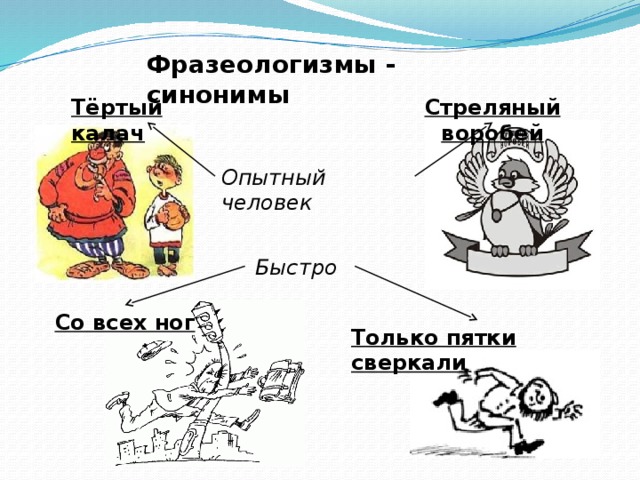 Фразеологизмы - синонимы Тёртый калач Стреляный воробей Опытный человек Быстро  Со всех ног Только пятки сверкали 