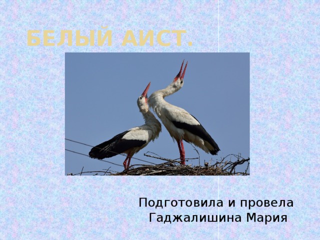 БЕЛЫЙ Аист. Подготовила и провела Гаджалишина Мария 