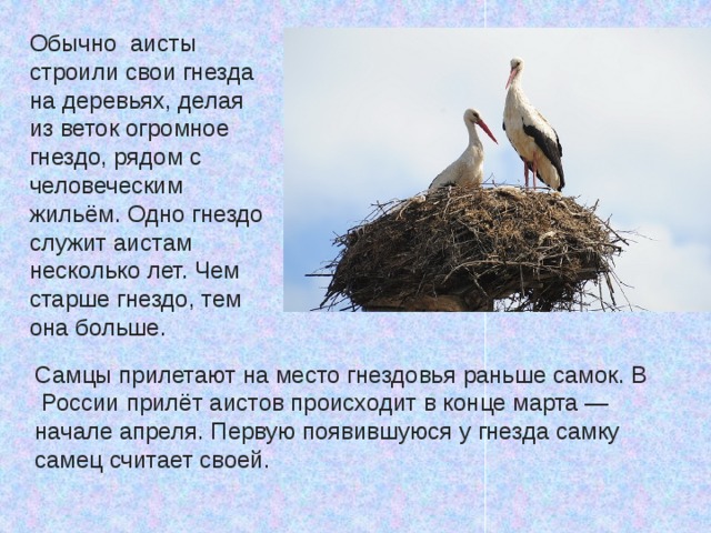 Составьте и запишите план текста из трех пунктов аист у многих народов считается птицей