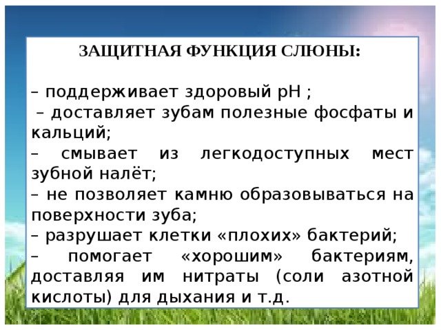 Факторы слюны. Защитная функция слюны. Функции слюны. Защитная и очищающая функция слюны. Функции смешанной слюны.