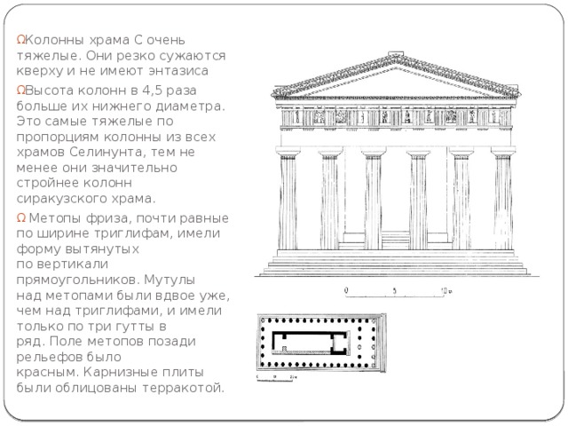Колонны храма С очень тяжелые. Они резко сужаются кверху и не имеют энтазиса Высота колонн в 4,5 раза больше их нижнего диаметра. Это самые тяжелые по пропорциям колонны из всех храмов Селинунта, тем не менее они значительно стройнее колонн сиракузского храма.  Метопы фриза, почти равные по ширине триглифам, имели форму вытянутых по вертикали прямоугольников. Мутулы над метопами были вдвое уже, чем над триглифами, и имели только по три гутты в ряд. Поле метопов позади рельефов было красным. Карнизные плиты были облицованы терракотой. 