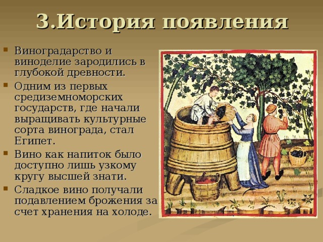 В каком веке зародилась. Виноделие в древности. Виноградарство в древности. История возникновения виноделия. Вино в древности.