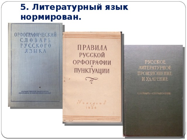 5. Литературный язык нормирован. 