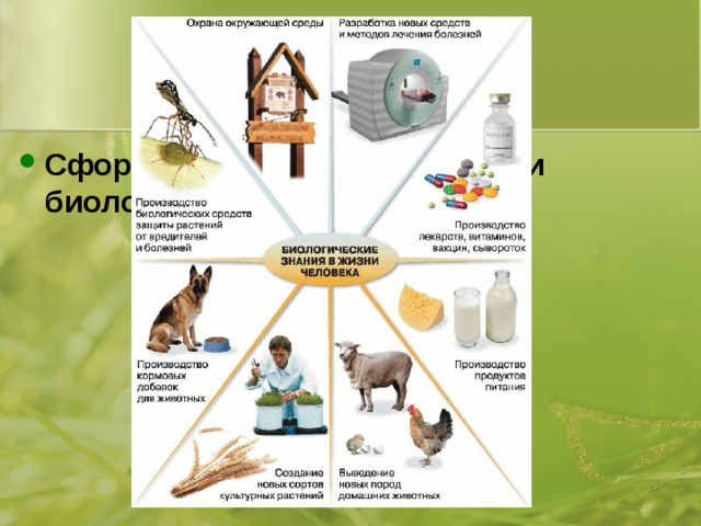 Значение биологии в природе человека. Схема биологические знания в жизни человека 5 класс биология. Значение биологических знаний. Значение биологии в жизни человека. Значение биологических знаний в жизни человека.