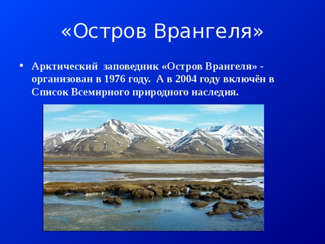 Заповедник врангеля доклад. Зона арктических пустынь заповедник остров Врангеля. Остров Врангеля всемирное наследие. Заповедники России остров Врангеля презентация. Остров Врангеля всемирное наследие России.