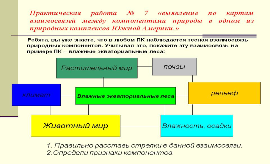 Схема взаимосвязей между компонентами природного комплекса 6 класс