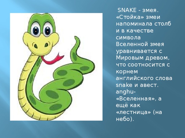 Описание змеи. Слово змей.