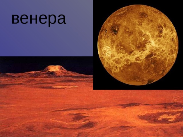 венера 