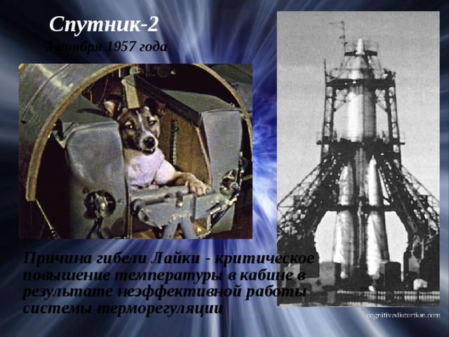Спутник-2 3 ноября 1957 года  Причина гибели Лайки - критическое повышение температуры в кабине в результате неэффективной работы системы терморегуляции 