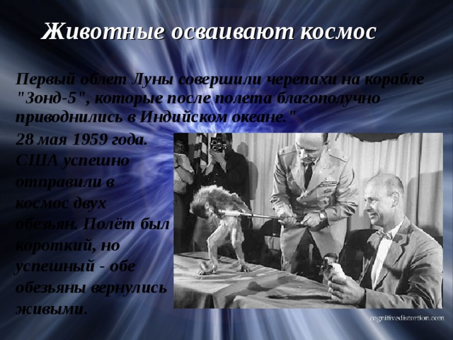 Животные осваивают космос Первый облет Луны совершили черепахи на корабле 