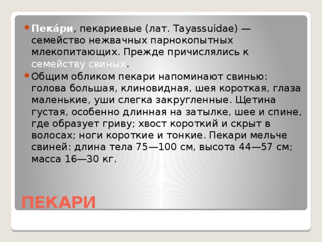 Пека́ри , пекариевые (лат. Tayassuidae) — семейство нежвачных парнокопытных млекопитающих. Прежде причислялись к семейству свиных . Общим обликом пекари напоминают свинью: голова большая, клиновидная, шея короткая, глаза маленькие, уши слегка закругленные. Щетина густая, особенно длинная на затылке, шее и спине, где образует гриву; хвост короткий и скрыт в волосах; ноги короткие и тонкие. Пекари мельче свиней: длина тела 75—100 см, высота 44—57 см; масса 16—30 кг.