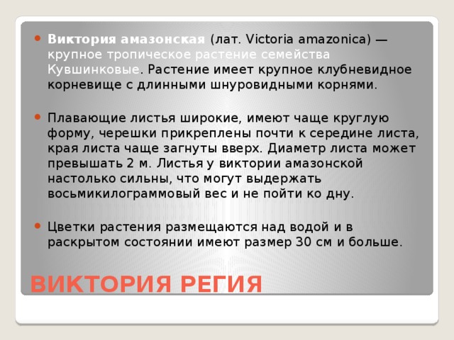 Виктория амазонская (лат. Victoria amazonica) — крупное тропическое растение семейства Кувшинковые . Растение имеет крупное клубневидное корневище с длинными шнуровидными корнями. Плавающие листья широкие, имеют чаще круглую форму, черешки прикреплены почти к середине листа, края листа чаще загнуты вверх. Диаметр листа может превышать 2 м. Листья у виктории амазонской настолько сильны, что могут выдержать восьмикилограммовый вес и не пойти ко дну. Цветки растения размещаются над водой и в раскрытом состоянии имеют размер 30 см и больше.