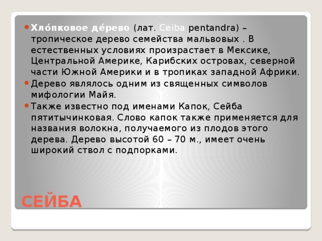 Хло́пковое де́рево (лат. Ceiba pentandra) – тропическое дерево семейства мальвовых . В естественных условиях произрастает в Мексике, Центральной Америке, Карибских островах, северной части Южной Америки и в тропиках западной Африки. Дерево являлось одним из священных символов мифологии Майя. Также известно под именами Капок, Сейба пятитычинковая. Слово капок также применяется для названия волокна, получаемого из плодов этого дерева. Дерево высотой 60 – 70 м., имеет очень широкий ствол с подпорками.