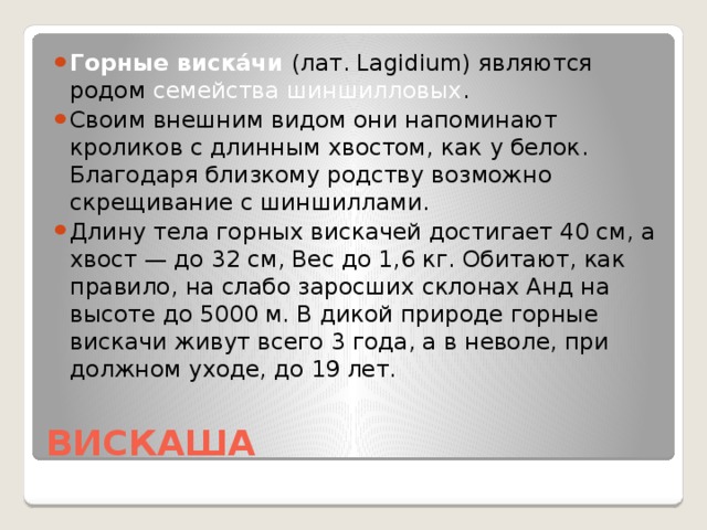 Горные виска́чи (лат. Lagidium) являются родом семейства шиншилловых . Своим внешним видом они напоминают кроликов с длинным хвостом, как у белок. Благодаря близкому родству возможно скрещивание с шиншиллами. Длину тела горных вискачей достигает 40 см, а хвост — до 32 см, Вес до 1,6 кг. Обитают, как правило, на слабо заросших склонах Анд на высоте до 5000 м. В дикой природе горные вискачи живут всего 3 года, а в неволе, при должном уходе, до 19 лет.