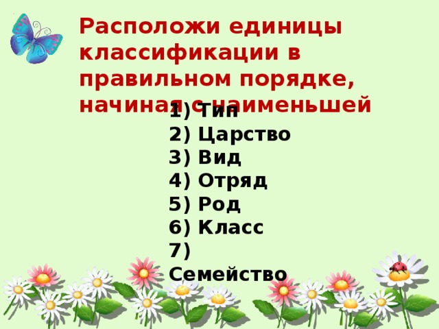 Единицы классификации