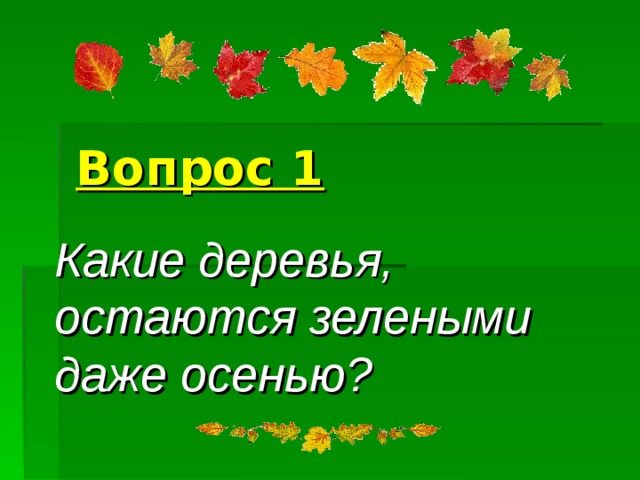 Вопрос 1 Какие деревья, остаются зелеными даже осенью? 