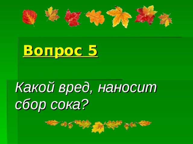 Вопрос 5 Какой вред, наносит сбор сока? 