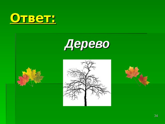 Ответ: Дерево  