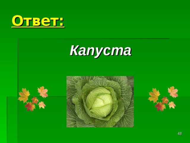 Ответ: Капуста  