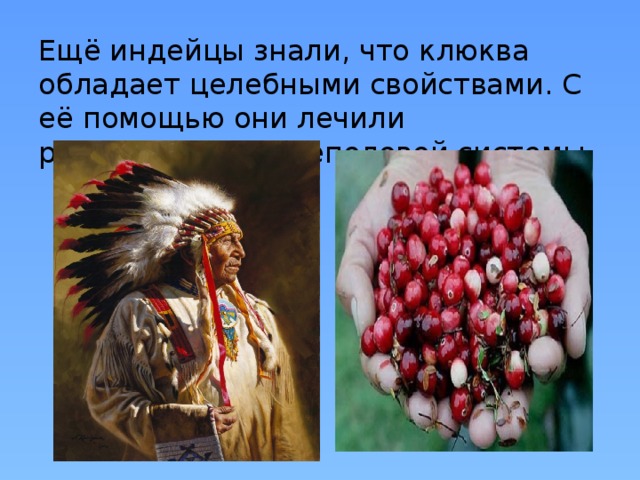 Ещё индейцы знали, что клюква обладает целебными свойствами. С её помощью они лечили расстройства мочеполовой системы. 