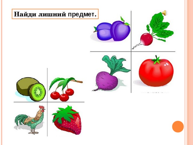 Выбери лишнюю картинку тест