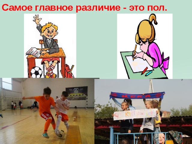 Самое главное различие - это пол. 