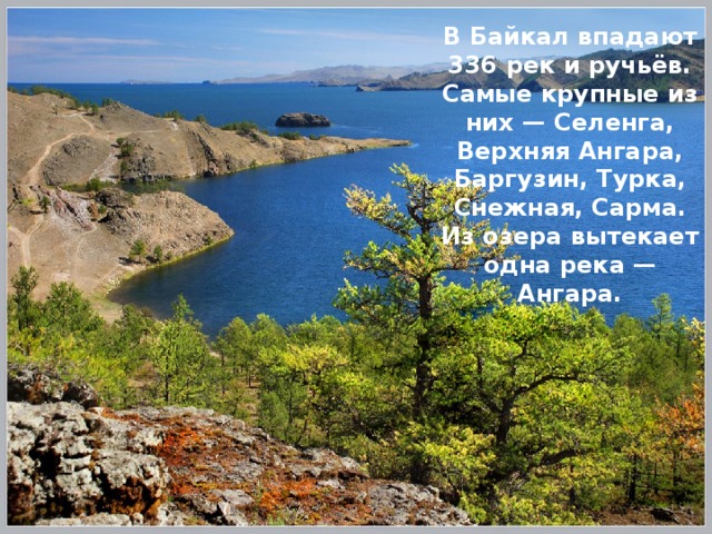 В Байкал впадают 336 рек и ручьёв. Самые крупные из них — Селенга, Верхняя Ангара, Баргузин, Турка, Снежная, Сарма. Из озера вытекает одна река — Ангара. 