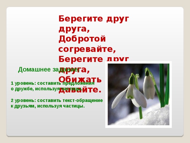 Берегите друг друга, Добротой согревайте, Берегите друг друга, Обижать не давайте. Домашнее задание: 1 уровень: составить предложения о дружбе, используя частицы.  2 уровень: составить текст-обращение к друзьям, используя частицы. 
