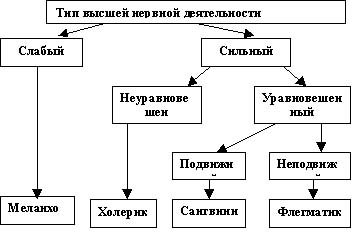 Особенности высшей нервной деятельности познавательные процессы 8 класс презентация