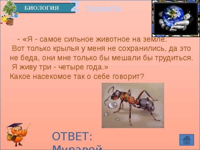 2 ТАЛАНТА БИОЛОГИЯ  - « Я - самое сильное животное на земле.  Вот только крылья у меня не сохранились, да это не беда, они мне только бы мешали бы трудиться.  Я живу три - четыре года.» Какое насекомое так о себе говорит?  ОТВЕТ: Муравей