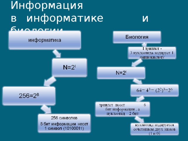 Математика биология информатика