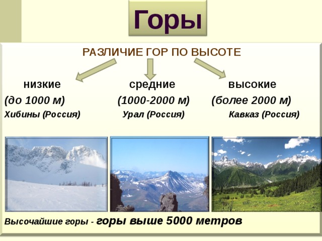 Низкие горы в россии жизненная форма дерева это