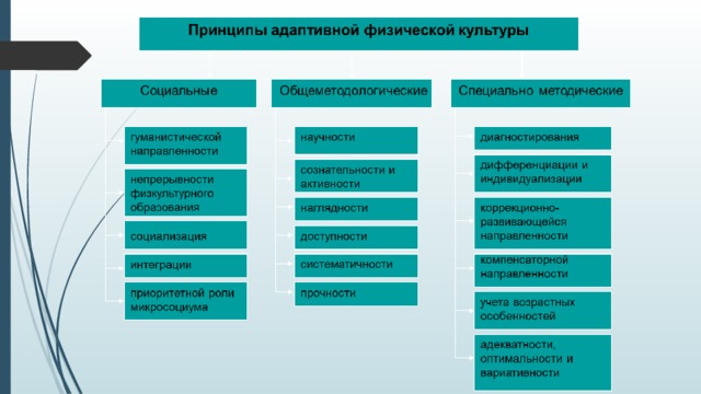 Приоритетные функции адаптивного физического воспитания презентация