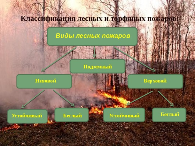 Классификация лесных и торфяных пожаров: Виды лесных пожаров Подземный Верховой Низовой Беглый Устойчивый Беглый Устойчивый 