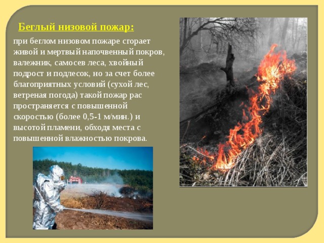 Беглый низовой пожар:  при беглом низовом пожаре сгорает живой и мертвый напочвенный покров, валежник, самосев леса, хвойный подрост и подлесок, но за счет бо­лее благоприятных условий (сухой лес, ветреная погода) такой пожар рас­пространяется с повышенной скоростью (более 0,5-1 м/мин.) и высотой пла­мени, обходя места с повышенной влажностью покрова.    