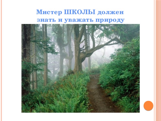 Мистер ШКОЛЫ должен  знать и уважать природу 