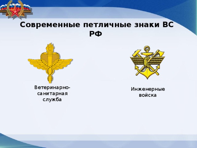 Современные петличные знаки ВС РФ Ветеринарно-санитарная служба Инженерные войска 
