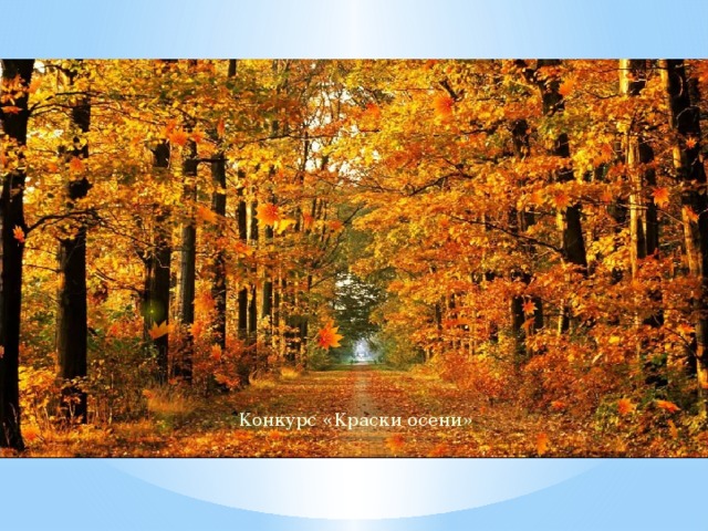 Конкурс «Краски осени»