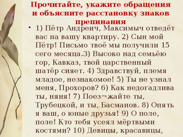 Прочитайте, укажите обращения и объясните расстановку знаков препинания   1) Пётр Андреич, Максимыч отведёт вас на вашу квартиру. 2) Сын мой Пётр! Письмо твоё мы получили 15 сего месяца.3) Высоко над семьёю гор, Кавказ, твой царственный шатёр сияет. 4) Здравствуй, племя младое, незнакомое! 5) Ты не узнал меня, Прохоров? 6) Как недогадлива ты, няня! 7) Поез¬жайте ты, Трубецкой, и ты, Басманов. 8) Опять я ваш, о юные друзья! 9) О поле, поле! Кто тебя усеял мёртвыми костями? 10) Девицы, красавицы, душеньки, подруженьки, разыграйтесь, девицы, разгуляйтесь, милые! (А. С. П у ш к и н ) 