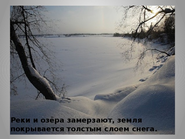 Реки и озёра замерзают, земля покрывается толстым слоем снега. 
