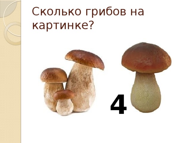 Сколько грибов на картинке? 4 