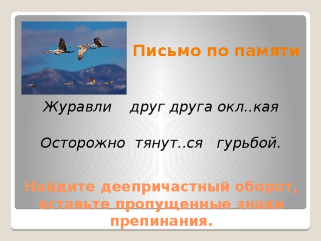  Письмо по памяти   Журавли друг друга окл..кая  Осторожно тянут..ся гурьбой. Найдите деепричастный оборот,  вставьте пропущенные знаки препинания. 