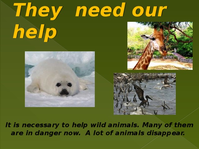 Help animals перевод